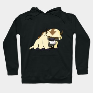 Appa Loves U Hoodie